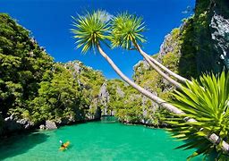 Image result for Tropical Island Ocean