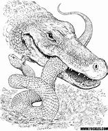 Image result for Realistic Alligator Coloring Pages