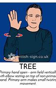 Image result for Sign Language Alphabet Individual Letter D