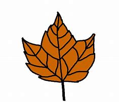 Image result for Maple Leaf Coloring