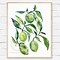 Image result for Olive Branch Watercolor Art