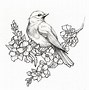 Image result for Bird On Branch Coloring Page