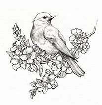 Image result for Bird On Branch Drawing