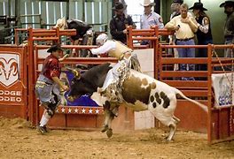 Image result for Rodeo Cowboy Outfit