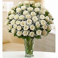 Image result for Single Long Stem White Rose