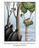 Image result for Far Side Cartoon Safari