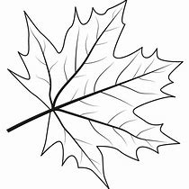 Image result for Canada Maple Leaf Green