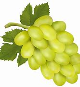 Image result for Grape Leaf Clip Art