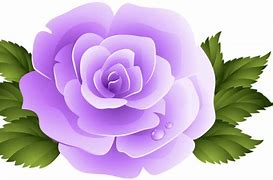 Image result for White Rose Clip Art Black Background