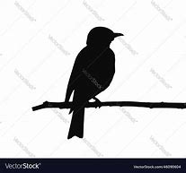 Image result for Bird in a Branch Vector Black