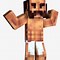 Image result for Minecraft Icon No Background