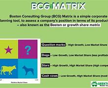 Image result for BCG Report