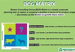 Image result for BCG Matrix Examples