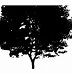 Image result for Willow Tree Clip Art