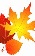 Image result for Fall Leaves Clip Art