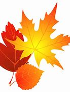 Image result for Fall Leaves Illustration