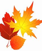 Image result for Autumn Leaf Clip Art Free