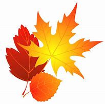 Image result for Fall Leaves Vector Free