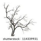 Image result for Dead-Tree Overlay