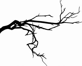 Image result for Halloween Tree Branch