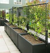 Image result for Garden Vegetable Greenscreen