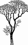 Image result for Tree Types Line Art