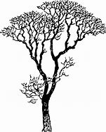 Image result for Tree Branch Line Art