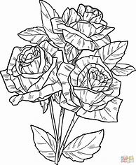 Image result for Advanced Rose Coloring Pages S