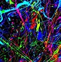 Image result for Paint Splatter Drawing