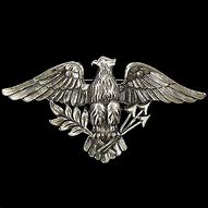 Image result for American Eagle with Arrows and Olive Branch