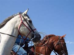 Image result for Rodeo Cowboy Outfit