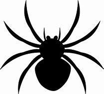 Image result for Cartoon Spider No Background