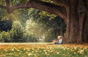 Image result for Children Sitting Under a Tree Learning From an Elder