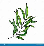 Image result for Willow Tree Branch Illustration