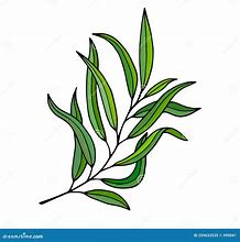 Image result for Willow Tree Branch Illustration