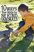 Image result for Kinndly for Animals Clour