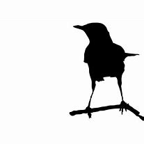 Image result for Bird On a Branch Silhouette Pattern