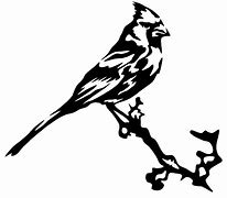 Image result for Bird On Branch Drawing