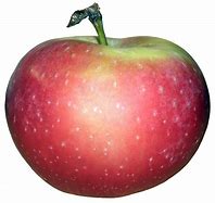 Image result for Posinous Golden Apple