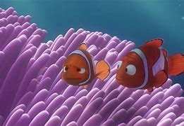 Image result for Finding Nemo Parrot Fish