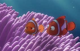 Image result for How to Draw Finding Nemo