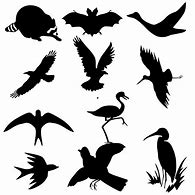 Image result for Siloouettes of Birds On a Branch