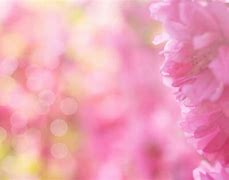 Image result for Flower Photoshop Background Blur