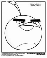 Image result for Angry Birds Pig Coloring