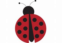 Image result for Ladybug On Leaf Clip Art