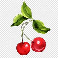 Image result for Cherry Art