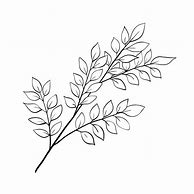 Image result for Vector Tree Branch Coloring