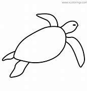 Image result for Sea Turtle Coloring Page