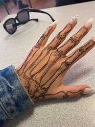 Image result for Hand Skeleton Anatomy