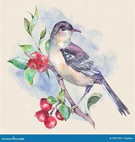 Image result for Vintage Watercolor Bird On a Branch